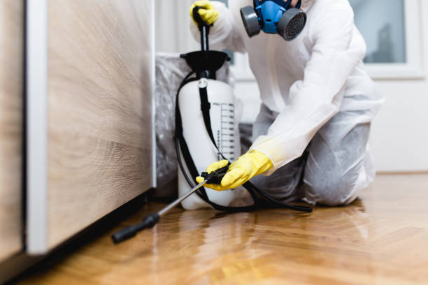 Best Pest Removal Services  in Tracy, CA