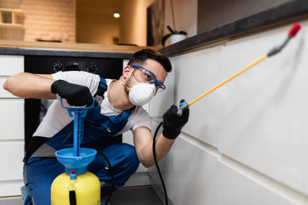Best Affordable Pest Control Services  in Tracy, CA