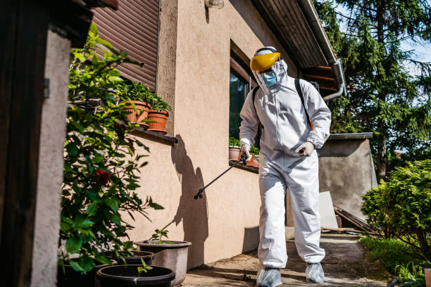 Best Affordable Pest Control Services  in Tracy, CA