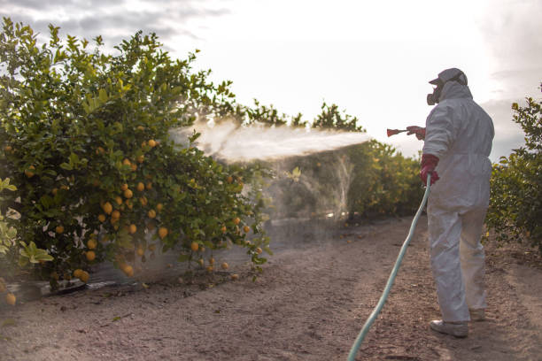  Tracy, CA Pest Control Pros