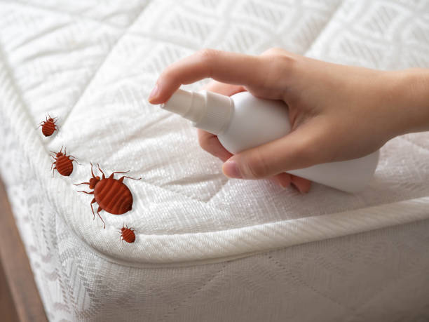 Best Affordable Pest Control Services  in Tracy, CA