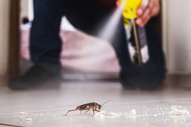 Pest Control Cost in Tracy, CA
