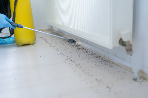 Pest Control for Restaurants in Tracy, CA