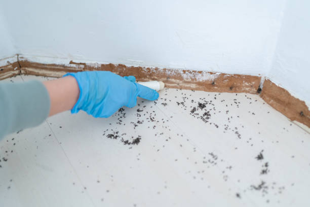 Best Bed Bug Extermination  in Tracy, CA