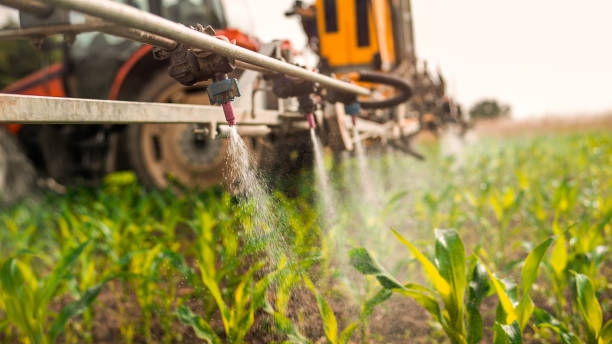 Best Pest Control for Businesses  in Tracy, CA