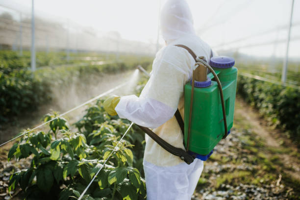 Flea Control Services in Tracy, CA